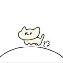 보드리왁싱