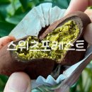 두바이쫀득쿠키 원정대 6번째 스위츠포레스트 두쫀쿠 평일 후기