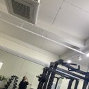 서현유통(애플) | 내돈내산 다이어트 보조제 추천 찐후기 (콜레올로지컷, 애플페논 , 오늘비움, 효소)
