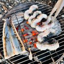 평화누리캠핑장 | 임진각 평화누리캠핑장 가격, 팁 내돈내산 후기