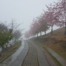 아리산농장 네이버블로그