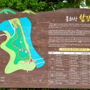 수변공원길 Daum카페
