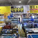 삼길포 정류장 | 충남 서산 대산읍 삼길포항 맛집 신선한 회 덕양수산 인심가득 해산물 한상