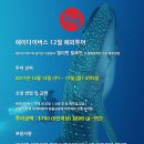 헤이다이버스