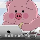 허니머슬짐 이미지