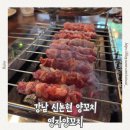 영자양꼬치 - 광주시 새말길 15 | 강남 신논현 양꼬치 추천, 영자양꼬치 내돈내산 후기(양꼬치,볶음밥,옥수수냉면)