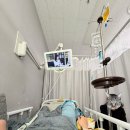 호흡기L층 화장실-1 | [RTP-1] 전방십자인대 파열 수술 후기(십자인대재건술, 전외측인대보강술) 1~3일차