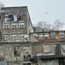 슈처마켓 이미지