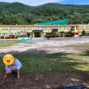 돌산봉덕초등학교 이미지