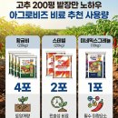 주식회사 그린가스충전소 | 황금비, 스테빌, 미네믹스그레뉼-아그로비즈 고추 밭장만 기비 시리즈