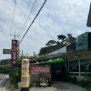 낙지한마리 | 태안 안면도 맛집 낙지한마리칼국수 내돈내산 솔직후기