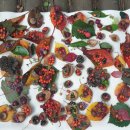 청송유치원 이미지