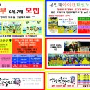 석사용인대신성태권도 이미지