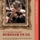 [취미/개인 레슨/기악]베아 챔버 앙상블 이미지