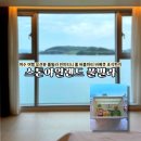 버블노래방 | 펜션 인피니티 온수풀 바베큐 수영장 무료 EDM 버블파티 전남 여수 스톤아일랜드 풀빌라 호텔 디럭스...