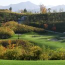 샤인데일 골프&리조트 이미지