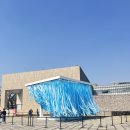 샘솟는약국 | 지금 가장 핫한 데이미안 허스트 작가전, 상어의 서늘함과 다이아몬드의 반짝임 사이~