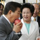 노** Daum카페
