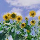 김경태한의원 이미지