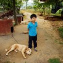 제성농장 이미지