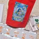 우리민들레약국 | 건강한 노후를 위한 고양이 혈뇨 영양제 쾌뇨펫