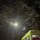 발그미조명 이미지