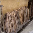 대나무숲길 이미지