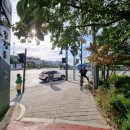 센트라포레 이미지