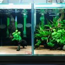 해양5로1L 이미지