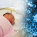 크린솔루션 이미지