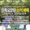 더실버공인중개사사무소 이미지