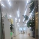 레푸스 호매실점 이미지