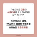 고은미의원 네이버블로그