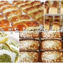 토끼 빵야 네이버블로그
