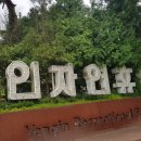 용인휴양림막국수