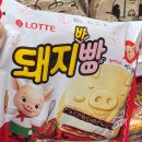 아이스홀릭장곡점 | [신상 아이스크림 소개] 롯데 돼지바 빵~