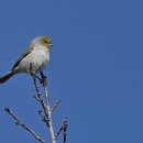 교언검도관 이미지