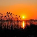 바람소리 이미지