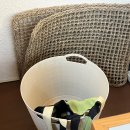 귀족호랑이 이미지