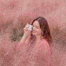 북촌5길 이미지