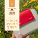 미니 카드지갑 업사이클링 여성 미니지갑 추천 할리케이