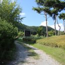 반기문평화랜드 이미지