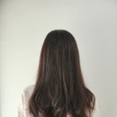 메이뉴헤어 | 개포동 미용실 메이뉴헤어 꼼꼼한 반곱슬머리 매직 c컬펌
