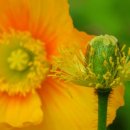 서양화(저녁) 이미지