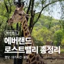 밸리 | 에버랜드 로스트밸리 후기, 명당·대기시간·꿀팁 총정리