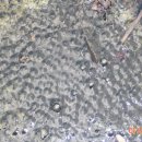 이시돌쉼터 이미지