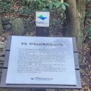 【국내여행 후기】 안양출발 홍도/흑산도/목포 2박 3일 1일차 -안양여행사,범계여행사,인덕원여행사