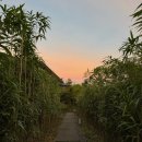 무이림3 이미지