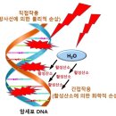 수소수 광고만큼 진짜 효과 있나요? 이미지