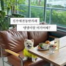 모먼트메종 | 진주 애견동반카페 모먼트메종, 금산 브런치 맛집 추천